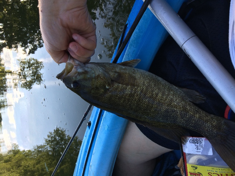 Nj river smallie