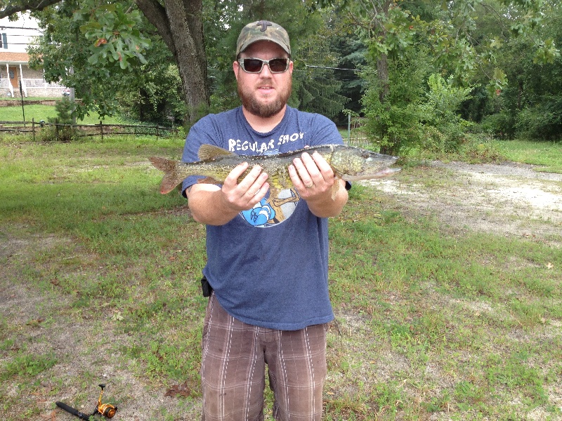 3lb Pickerel 